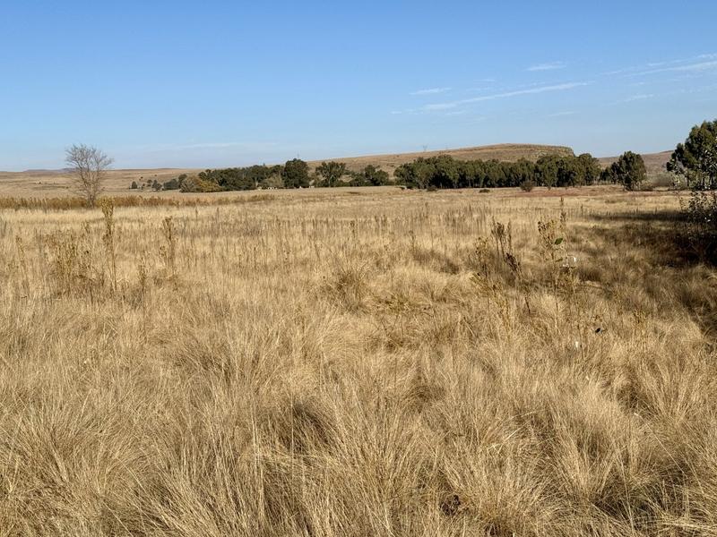0 Bedroom Property for Sale in Harrismith Free State